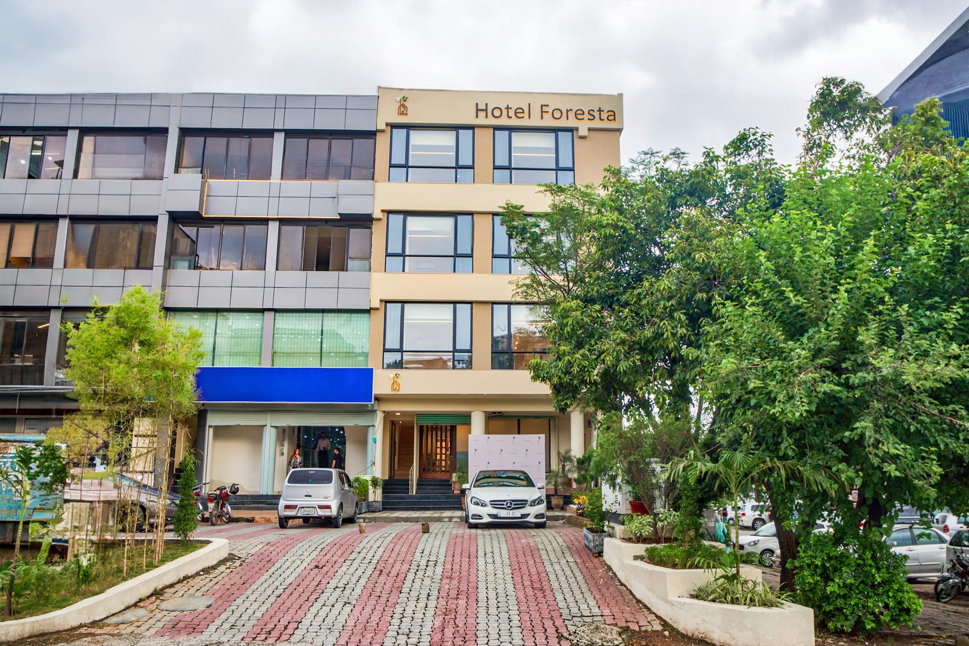 Hotel Foresta — welcoming interior and warm hospitality